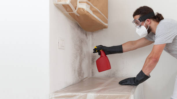 Professional Mold Remediation technician working in Great River, NY